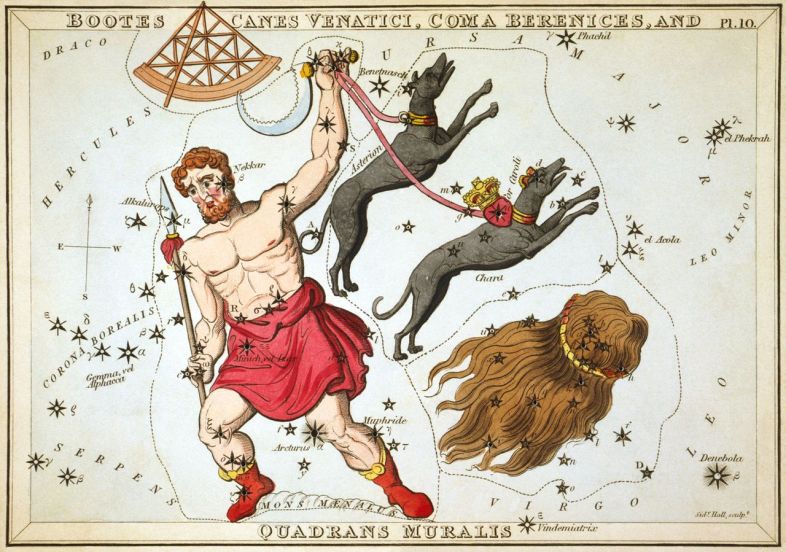 Boötes as depicted in Urania's Mirror, a set of constellation cards published in London c.1825. In his left hand he holds his hunting dogs, Canes Venatici. Below them is the constellation Coma Berenices. Above the head of Boötes is Quadrans Muralis, now obsolete, but which lives on as the name of the early January Quadrantid meteor shower. Mons Mænalus can be seen at his feet. wikipedia URL [https://en.wikipedia.org/wiki/Boötes]